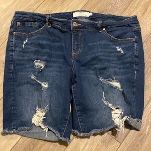 Torrid sz 22 shorts
